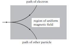 FORCES ON CHARGED PARTICLES 1. A student writes the following statements about electric fields. I There is a force on a charge in an electric field.