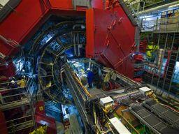 all the experiments CMS Higgs, Dark Matter, LHCb understand