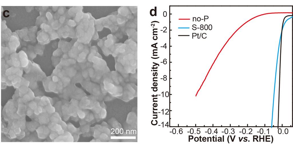 Figure S9. (a) Wide-scan survey XPS spectrum, (b) XRD pattern, and (c) SEM image of the control catalyst no-p.