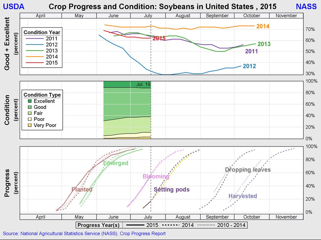 The overall condition of the U.S. corn crop is above the five-year average but trailing the excellent 2014 crop ratings.