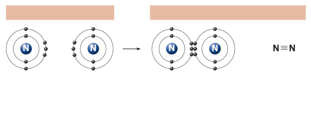 Reacting atoms Resulting molecules + or Nitrogen atom Nitrogen atom Molecule
