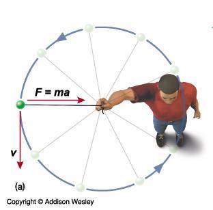 If the ball spins at a constant rate it has constant angular momentum The string exerts a centripetal force on the