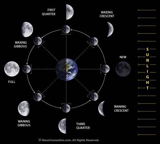 Lunar Phase Graph 180 135 90 45 0 New Waxing crescent First Quarter Waxing Gibbous