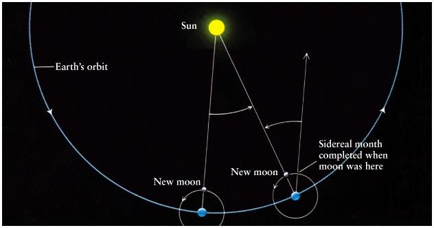 2 of axial rotation Synodic month Important to all people living on the Earth s surface Sidereal & Synodic Months ~12.