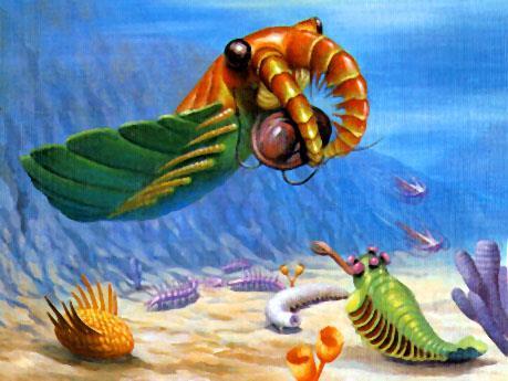 geological time). This event is called The Cambrian Explosion.