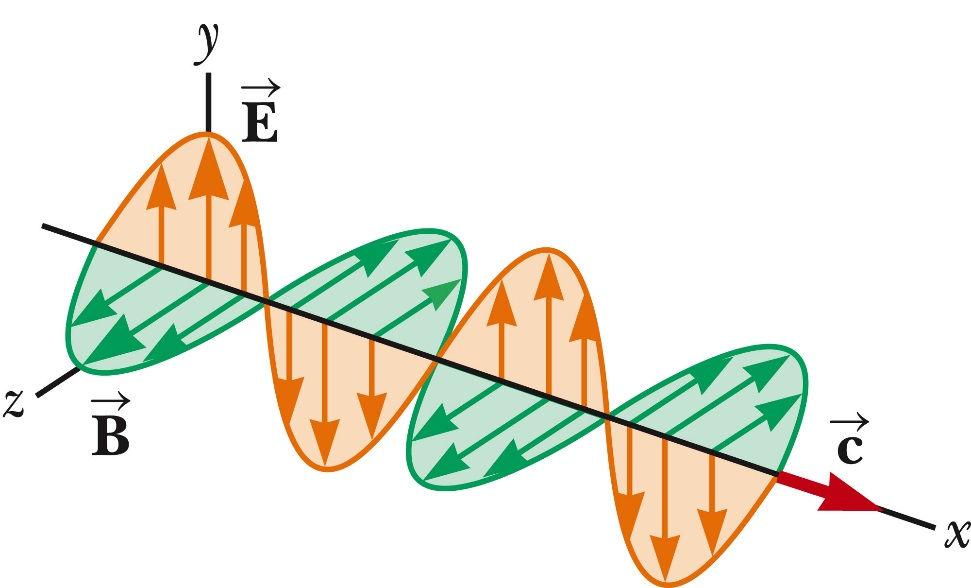 Properties of em Waves The components of the electric and magnetic fields of plane electromagnetic waves are perpendicular to each other and perpendicular to the direction of propagation.