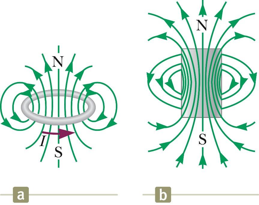 Magnetic Field Lines for a Loop Figure (a) shows the magnetic field lines surrounding a current loop.