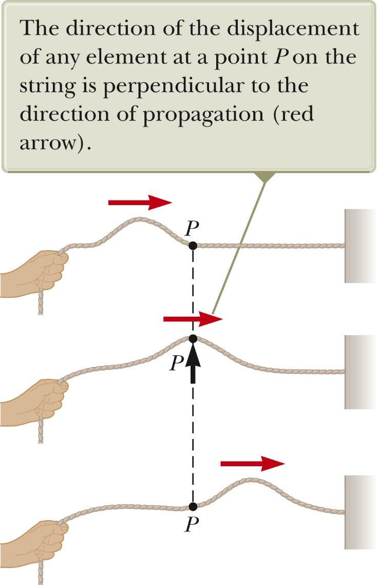 Pulse on a String The hand is the source of the disturbance. The string is the medium through which the pulse travels. Individual elements of the string are disturbed from their equilibrium position.