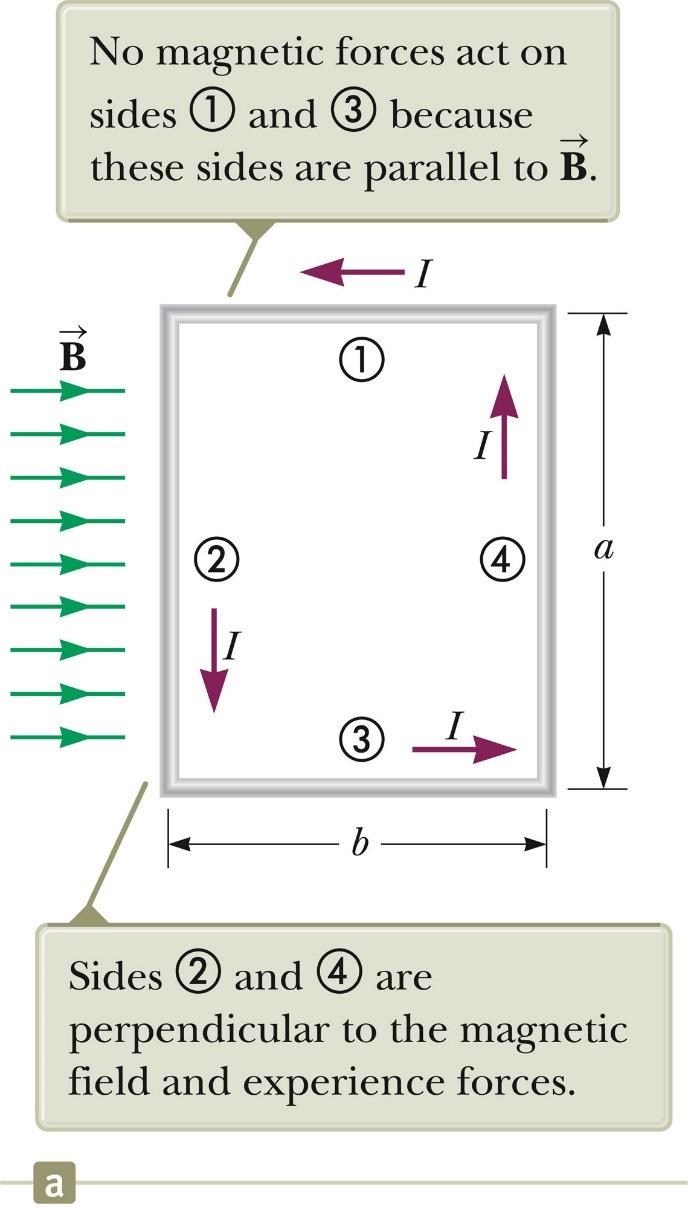 Torque on a Current Loop The rectangular loop carries a current Iin a uniform magnetic field. There is no magnetic force on sides 1 & 3, since the wires are parallel to the field. = = 0 '(!) 1 +!