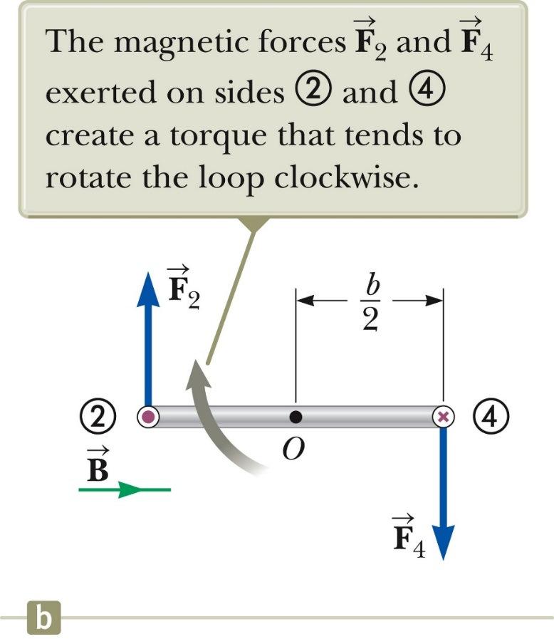 The direction of 4 is into the page. Torque on a Current Loop side view The forces are equal and in opposite directions, but not along the same line of action.