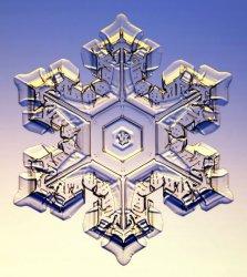 Snowflake Morphology Hexagonal Symmetry Oddly,