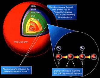 (nuclear fusion) to form carbon, carbon burns to form oxygen, oxygen burns