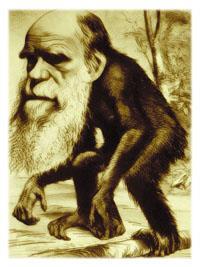 Opposition to Evolution The upheaval surrounding evolution began with Darwin s publication of On