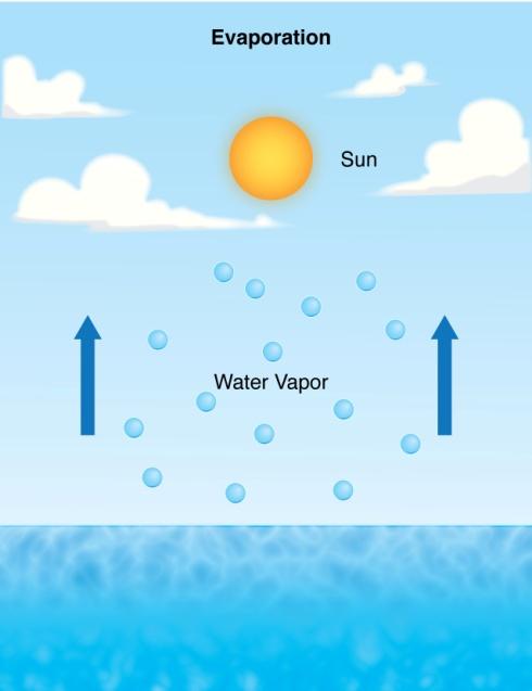 Water is the only substance on Earth that exists in all three states of matter naturally. Water can be solid ice, a flowing liquid, or gaseous vapor.