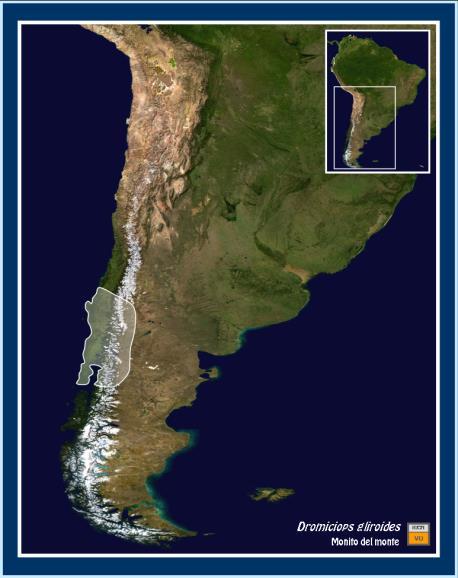 Distribution: Neotropical (Andes