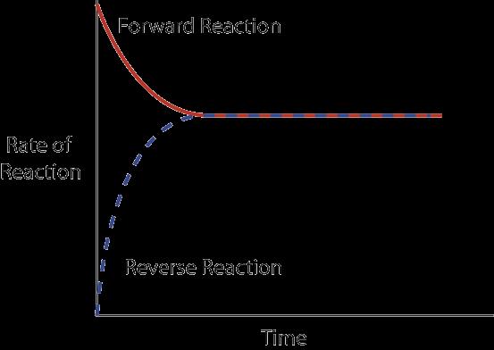 Unit 2 Reaction Equilibrium 3 Chemical equilibrium are said to be: DYNAMIC = forward and reverse reactions continue to occur although there is no net change in MACROSCOPIC properties. 4.