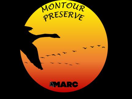 S P E C I A L P O I N T S O F I N T E R E S T : Montour Preserve News V O L U M E 2, I S S U E 3 S U M M E R 2 0 1 7 Join us for one of a variety of programs this summer.