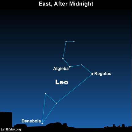 November 2017 Sky Events Leonid Meteor Shower The constellation Leo is rising in the east after midnight on the