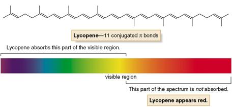 Conjugated Dienes and Ultraviolet Light Lycopene absorbs visible light at λ max = 470 nm, in the bluegreen region of