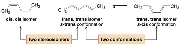 Structure Stereoisomers are discrete