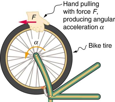 Connexions module: m42179 2 Figure 1: Force is required to spin the bike wheel. The greater the force, the greater the angular acceleration produced.