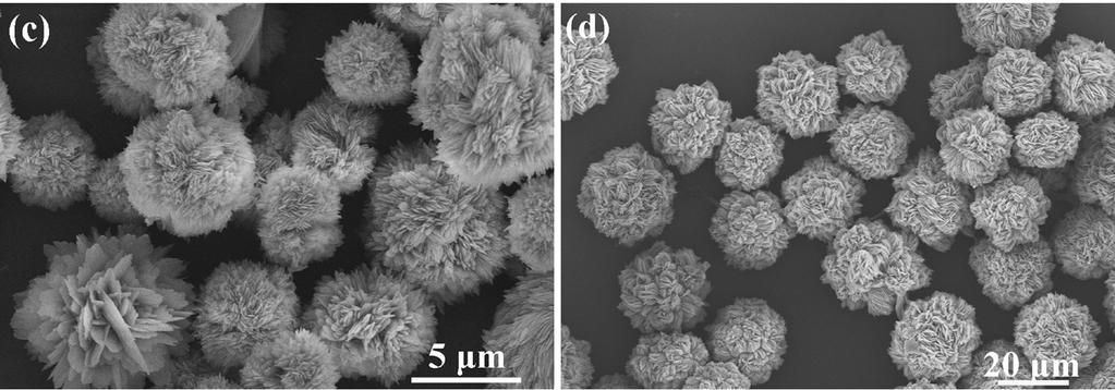 5 6H2O nanowires obtained after the reaction for (a) 1 min and (b) 2