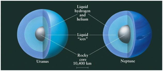Uranus & Neptune Inner Structure Uranus & Neptune Magnetic Fields Orientation of magnetic fields Uranus & Neptune magnetic fields are steeply tilted Uranus ~ 59 Neptune ~ 47 Both fields are offset
