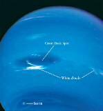 Neptune is a cold, bluish world with Jupiter-like atmospheric features.