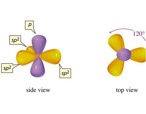 In an sp 2 hybridized atom, what is the orientation of the unhybridized p orbital relative to the three sp 2 hybrid orbitals? A. The unhybridized p-orbital is 180 from the plane of the sp 2 orbitals.