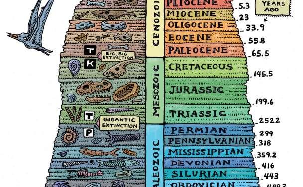 Fossil Record History of life as documented by fossils Tells us when organisms lived and how they changed over