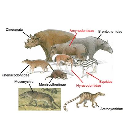 Tertiary, while the last Period is the Quaternary The Cenozoic Era Periods of the Cenozoic The Paleogene Period 65 23 mya The most significant evolution of birds and mammals occurred in