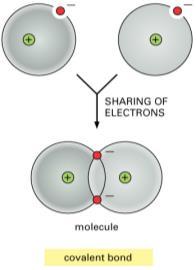 Diatomic Molecules: Covalent Bonding in Nonmetals Co-valent Bonding: atoms sharing valence electrons to reach a fill outer shell.