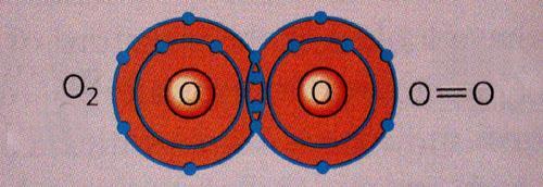 DOUBLE COVALENT BONDS Sometimes atoms attain noble gas configuration by sharing 2 or 3 pairs