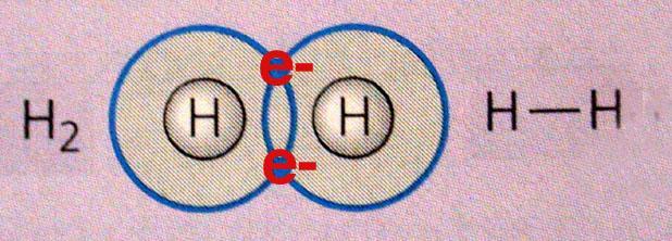 SINGLE COVALENT BOND A Single Covalent Bond consists of two