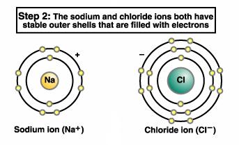 Atoms form cations (+charge), when they lose electrons, or anions (- charge), when