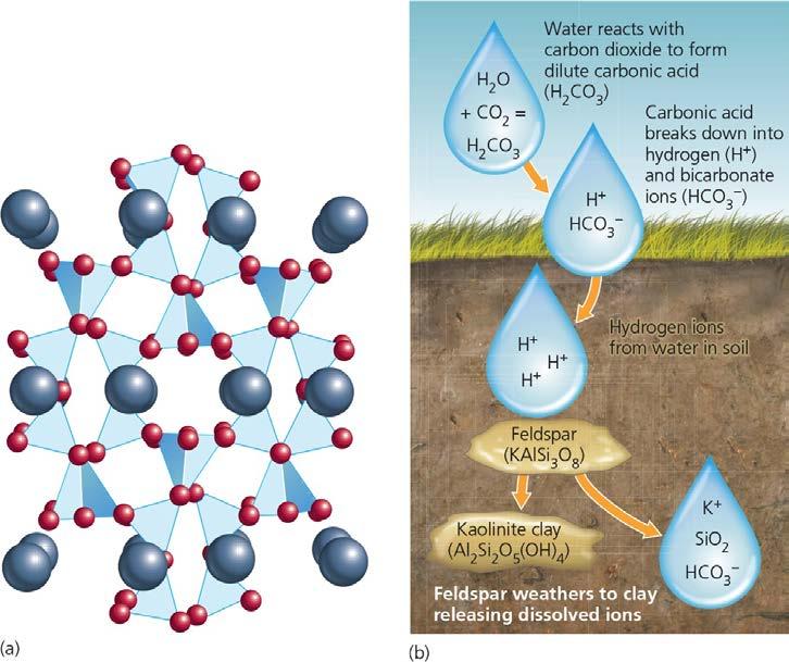 Chemical Weathering Hydrolysis Hydrogen ions in water extract ions from a mineral s crystal structure Reaction forms new mineral (a) Structure of feldspar: silicate tetrahedra are