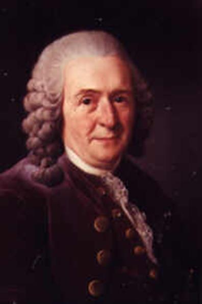 Carolus Linnaeus 18th century