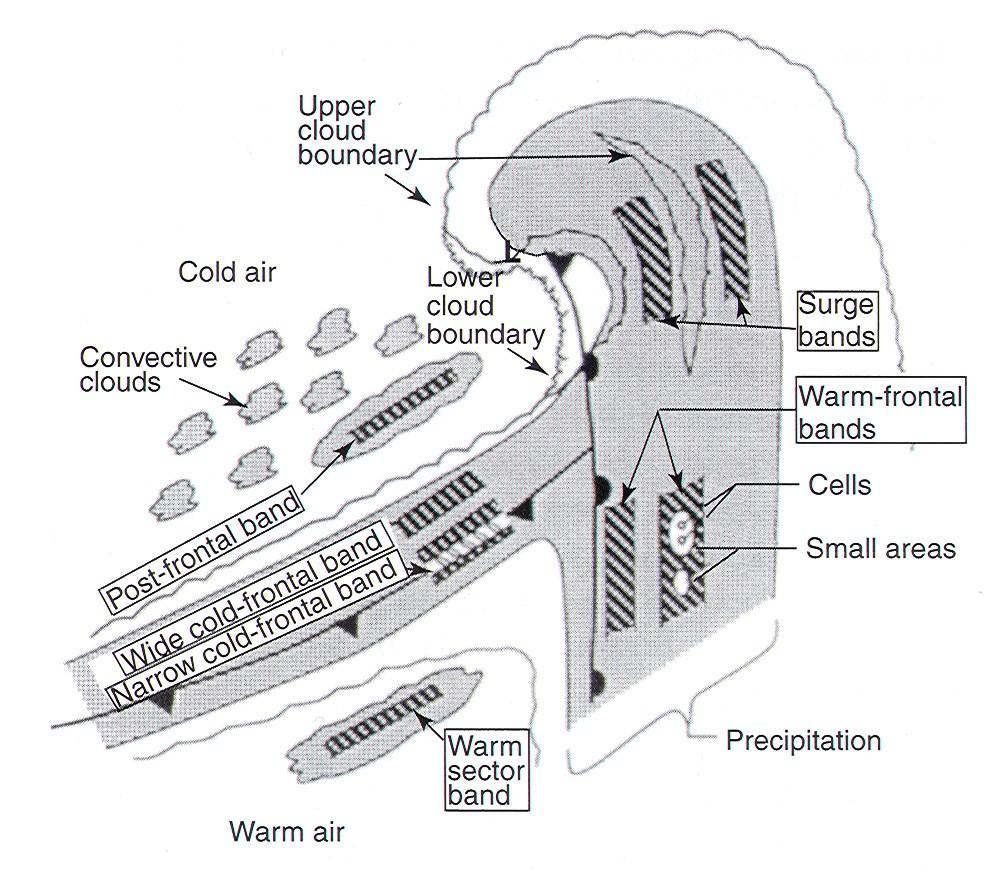 Schematic of the cloud systems