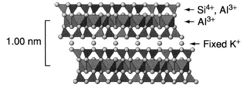 between layers and cations (K + ) in interlayer Small