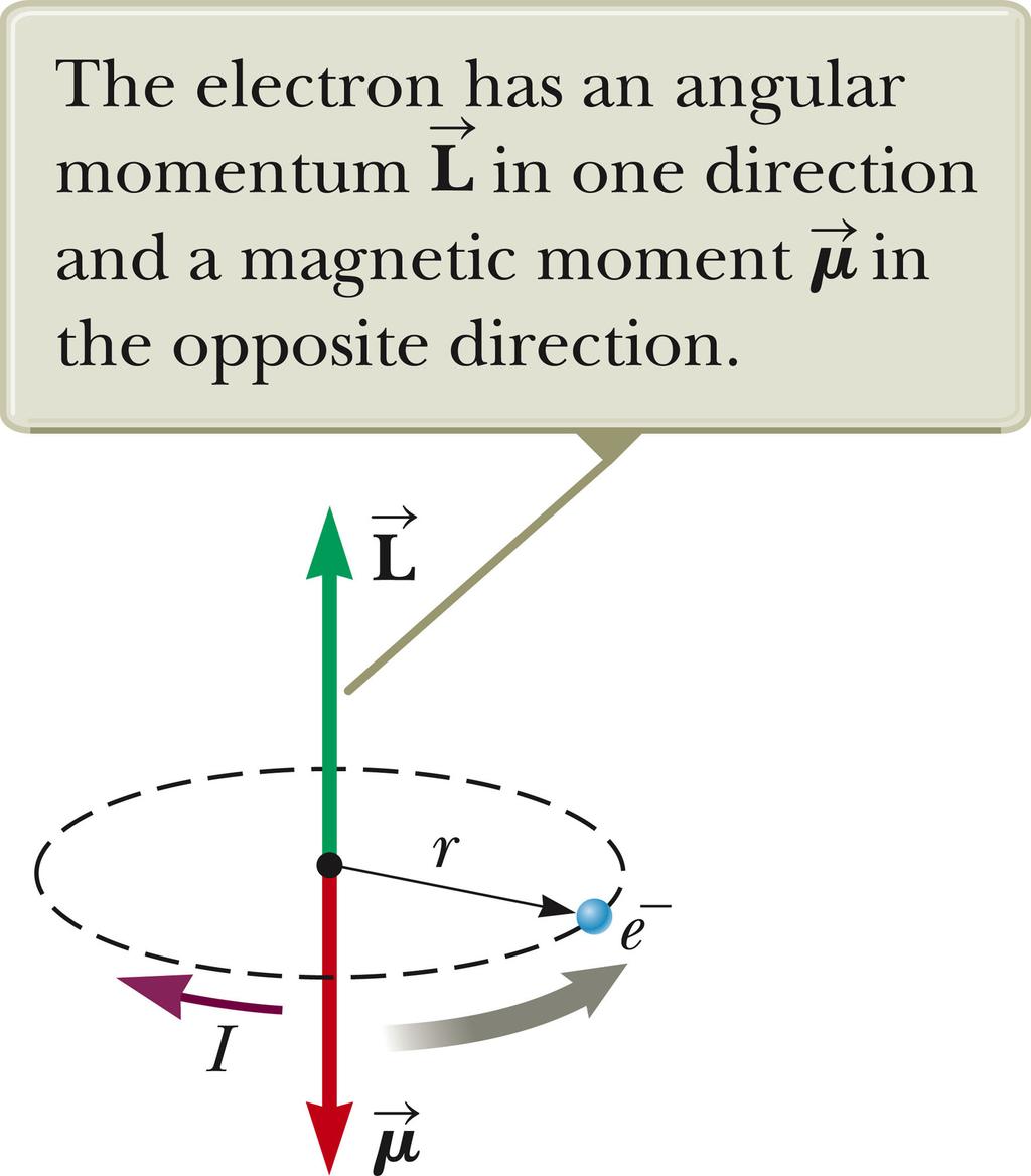Electron spin magnetic moment The electron is found to behave as if it had an intrinsic quantized spin angular momentum and an associated magnetic moment with Classical orbital magnetic moment A