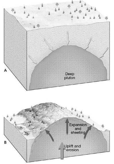 When erosion of the land surface exposes the pluton the weight is removed and it expands.