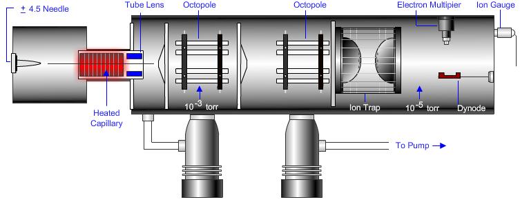 Ion introduction, trapping and ejection When used in conjunction with API sources it is usual to introduce the ions from the nozzle skimmer region of the instrument, via a set of ionoptic lenses into