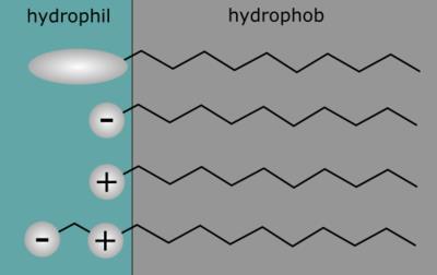 C. Association Colloids Organic compounds that contain large hydrophobic moieties on the same molecule with strongly hydrophilic groups are said to be amphiphilic.
