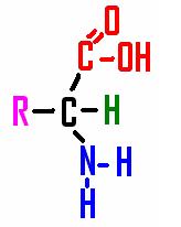 62. Because a molecule of water has a positive and negative end, it is said to be a. ionic b. covalent c. nonpolar d. polar 63. An acid has a ph of a. below 7 b. 0 c. 7 d. above 7 64.