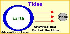 Moon s Gravity and Tides The Moon s gravity affects the water on Earth s surface.