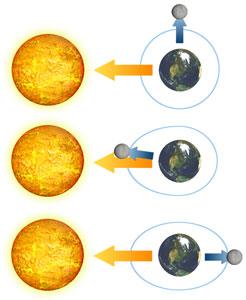 Sun s Gravity and Tides The Sun is so large that its gravity also affects tides.
