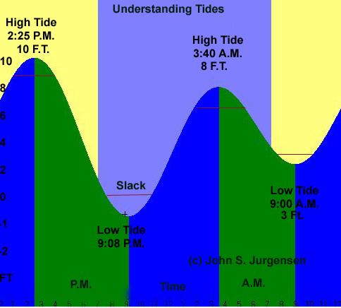 Daily Tide Cycle Most seashores have four