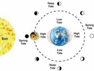 Monthly Tide Cycle Changes in the positions of Earth,