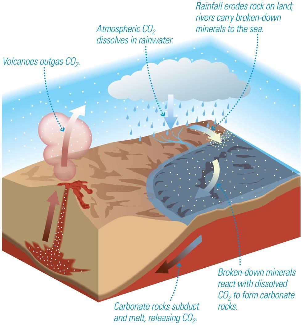Climate and Habitability Some scientists argue that plate tectonics and/or a large