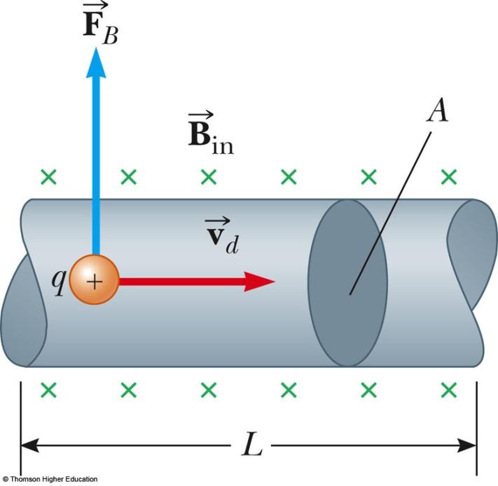 Force on a wire The magnetic force is exerted on each moving charge in the wire F B = q v d B The total force is the product of the force on one charge and the number of charges F B = q v d B (